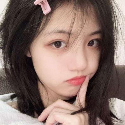 智叻狗仔队